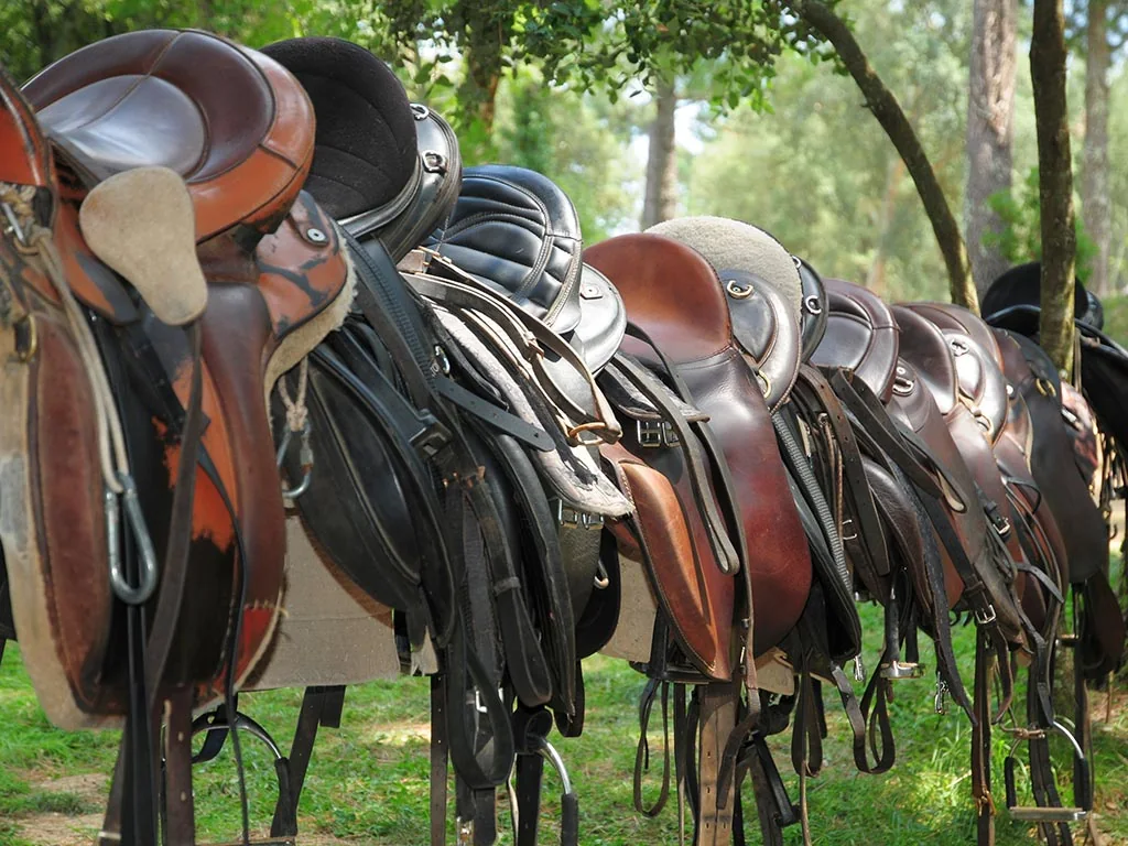 Selection of riding saddles